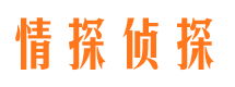 山丹市调查公司